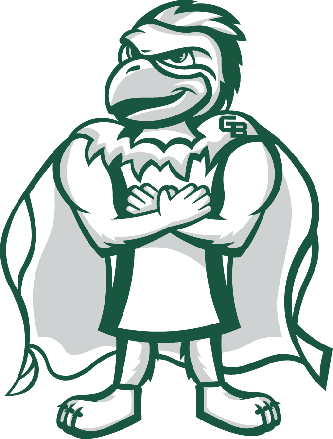 Wisconsin-Green Bay Phoenix 2020-Pres Mascot Logo DIY iron on transfer (heat transfer)